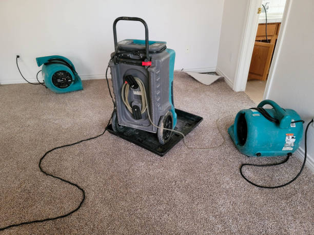 Andrews, TX Water damage restoration Company