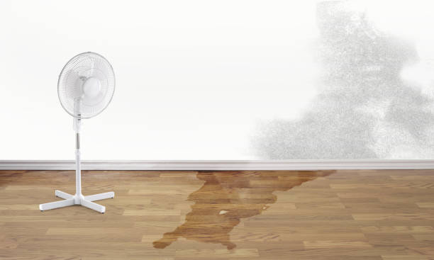 Best Water damage restoration near me  in Andrews, TX