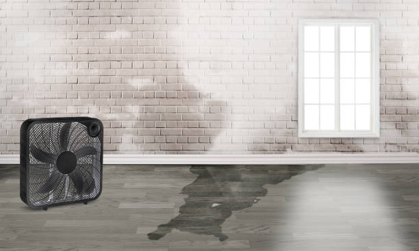  Andrews, TX Water damage restoration Pros