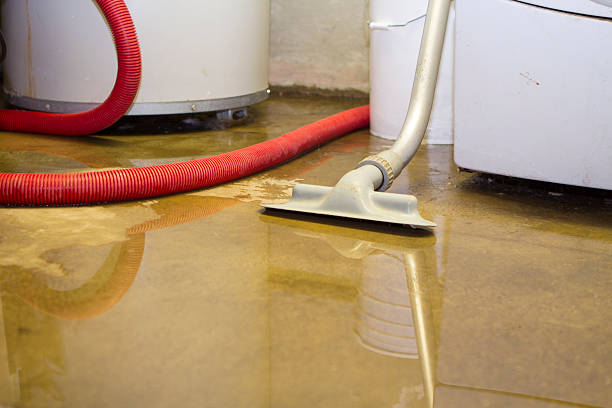 Best Professional water damage repair  in Andrews, TX