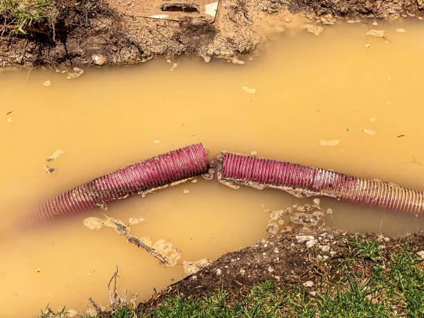 Sewage cleanup and water damage restoration in Andrews, TX