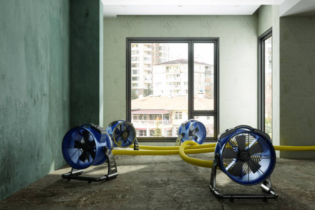 Best Flood restoration services  in Andrews, TX